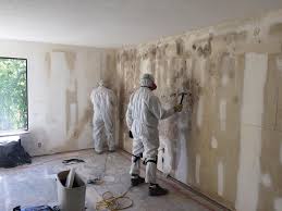 Best Basement Mold Removal  in Howard, WI